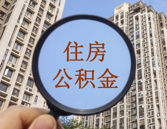 乳山退休后查不到公积金明细了吗（退休后公积金查询不到原因）